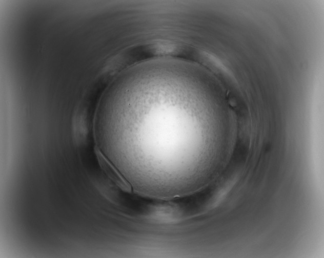 X0000088900215200706081312
