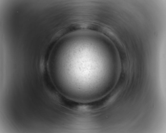 X0000088900216200706081312