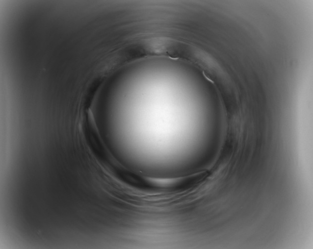 X0000088900217200706081312