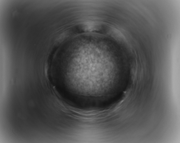 X0000088900219200706081311