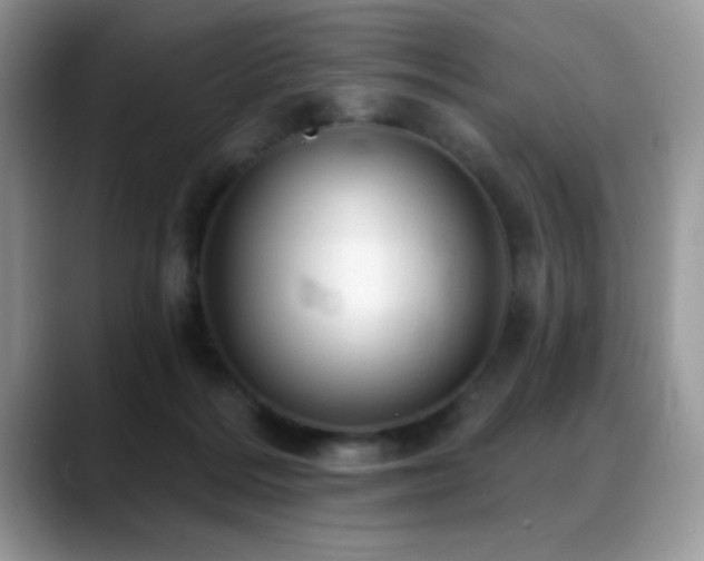 X0000088900220200706081311