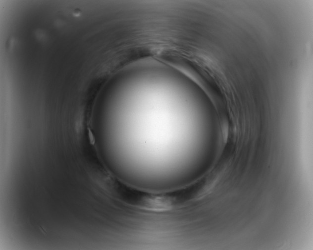 X0000088900221200706081311