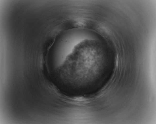 X0000088900223200706081311