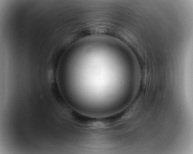 X0000088900224200706081311