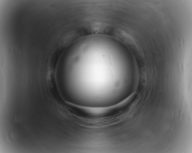 X0000088900225200706081311
