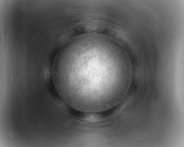 X0000088900226200706081311