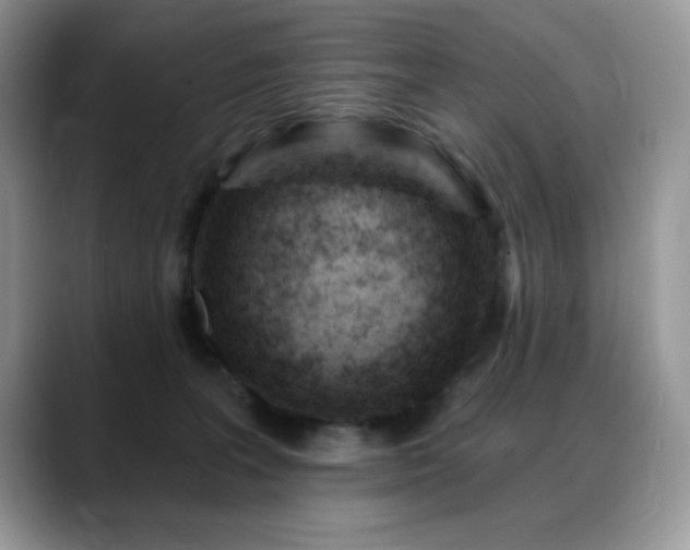 X0000088900227200706081311