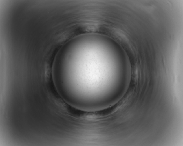 X0000088900228200706081311