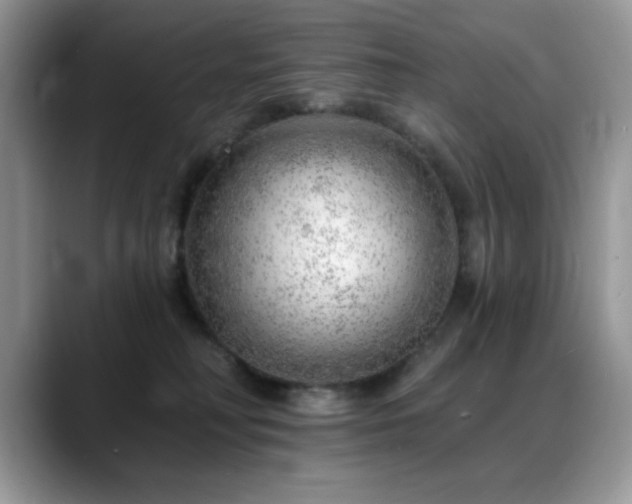 X0000088900230200706081311