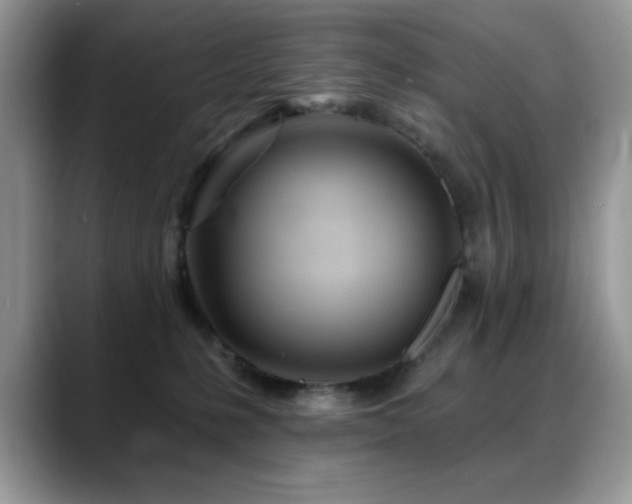 X0000088900231200706081311