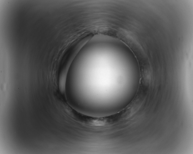 X0000088900232200706081311