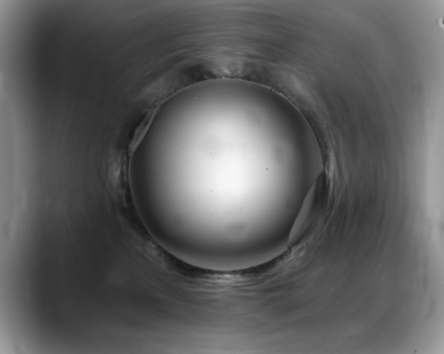 X0000088900233200706081311
