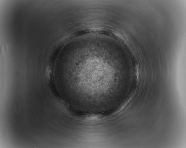 X0000088900235200706081311