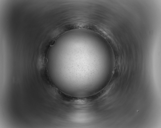 X0000088900236200706081311