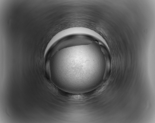 X0000088900237200706081311