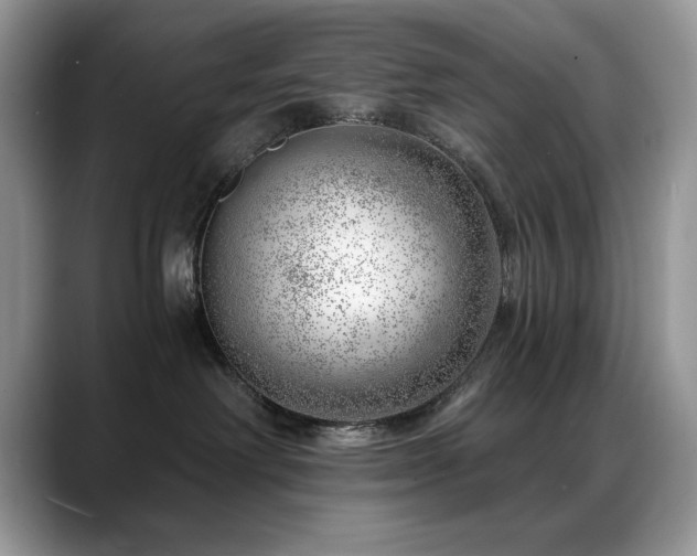 X0000088900238200706081311