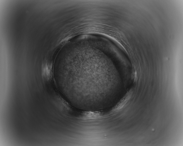 X0000088900239200706081311