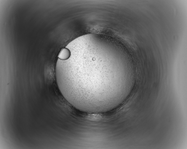 X0000088900240200706081311