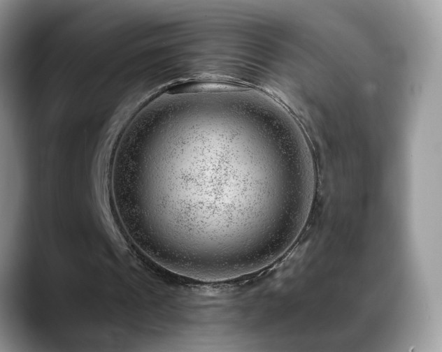 X0000088900241200706081311