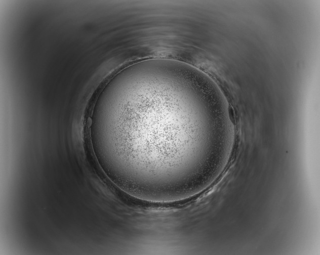 X0000088900242200706081311