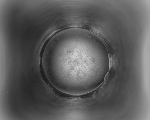 X0000088900243200706081311