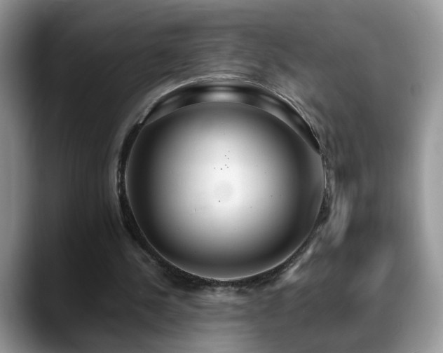 X0000088900244200706081311