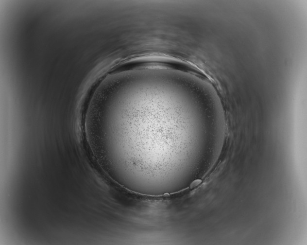 X0000088900245200706081311