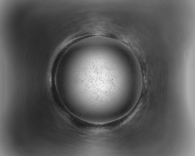 X0000088900246200706081311