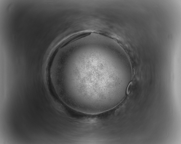 X0000088900247200706081311
