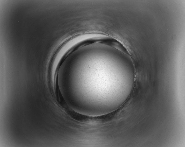X0000088900248200706081311