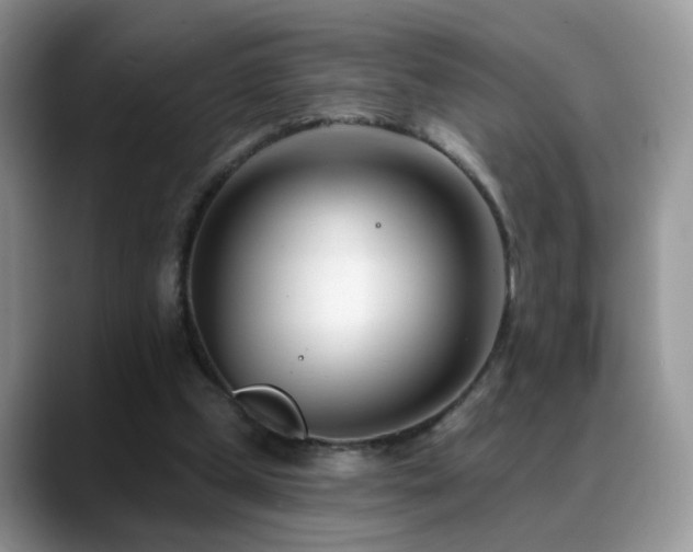 X0000088900249200706081311
