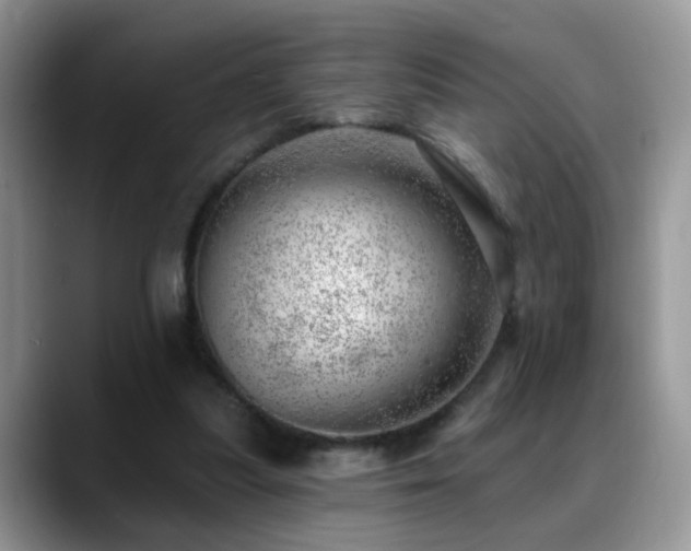 X0000088900251200706081311