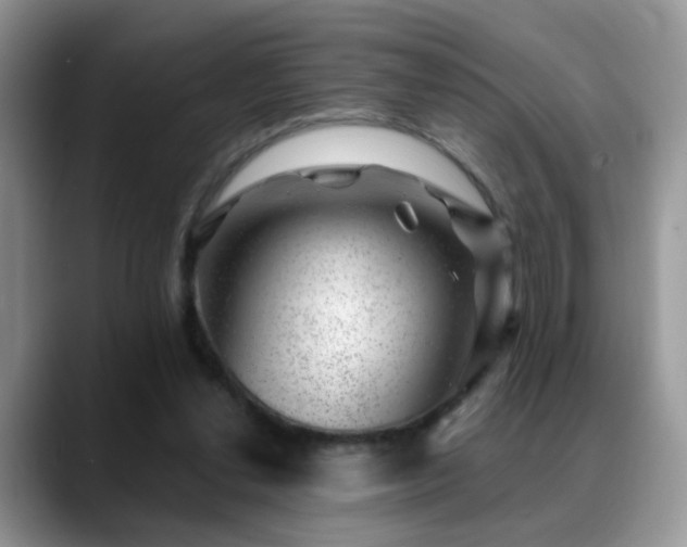 X0000088900252200706081311