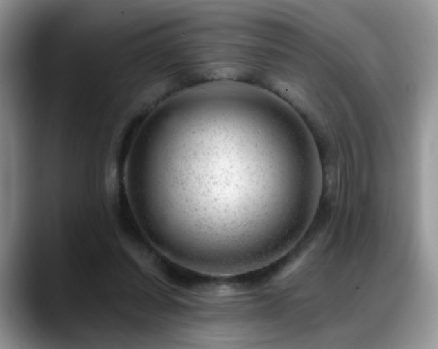 X0000088900254200706081311