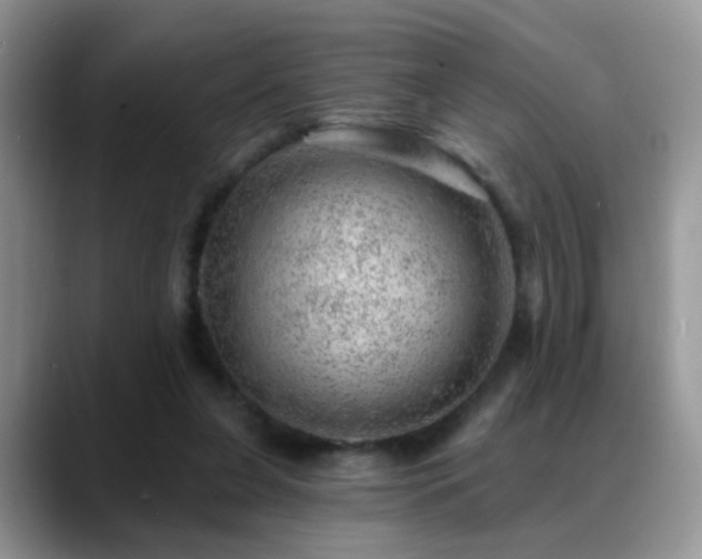 X0000088900255200706081311