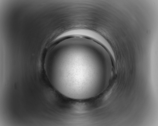 X0000088900256200706081311