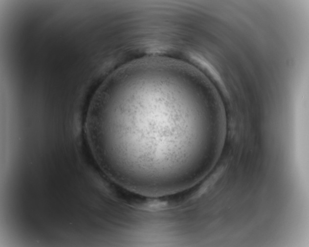 X0000088900257200706081311