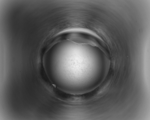 X0000088900260200706081311