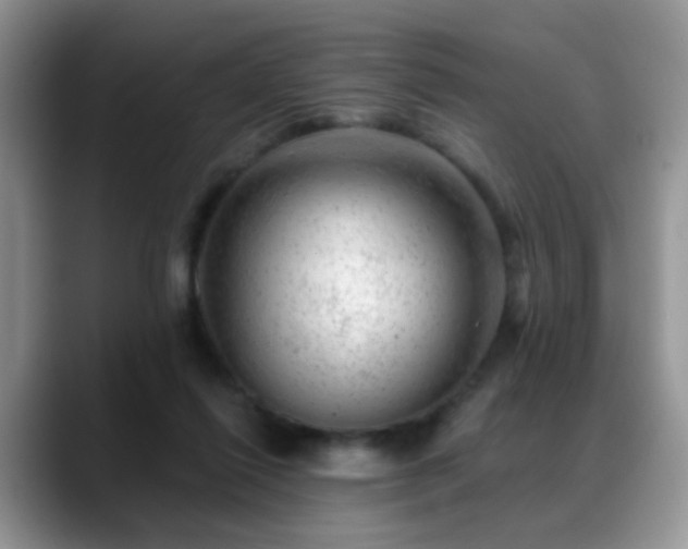 X0000088900262200706081311