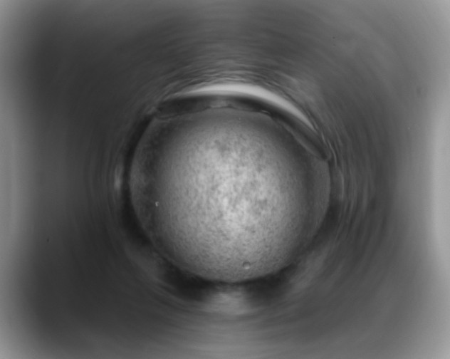 X0000088900263200706081311