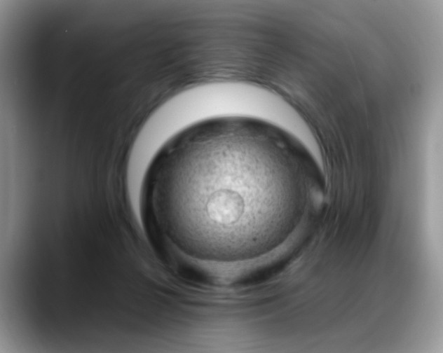 X0000088900264200706081311