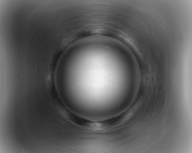 X0000088900265200706081311