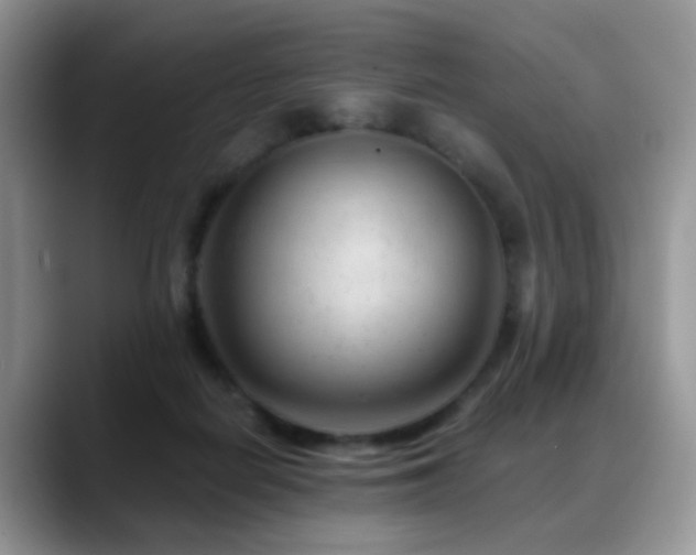 X0000088900266200706081311