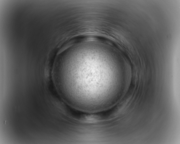 X0000088900268200706081311