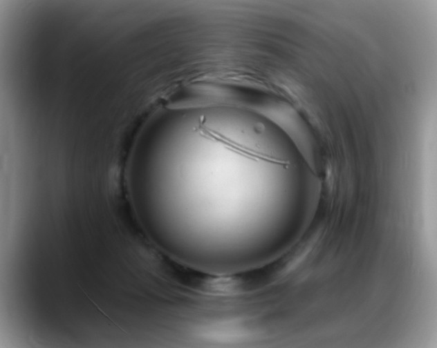 X0000088900269200706081311
