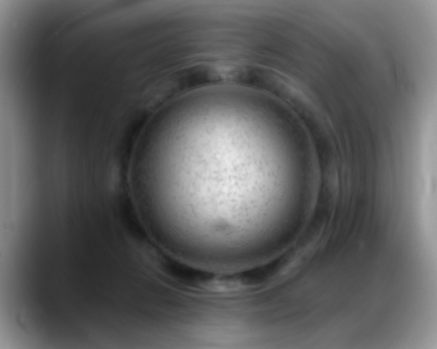 X0000088900270200706081311