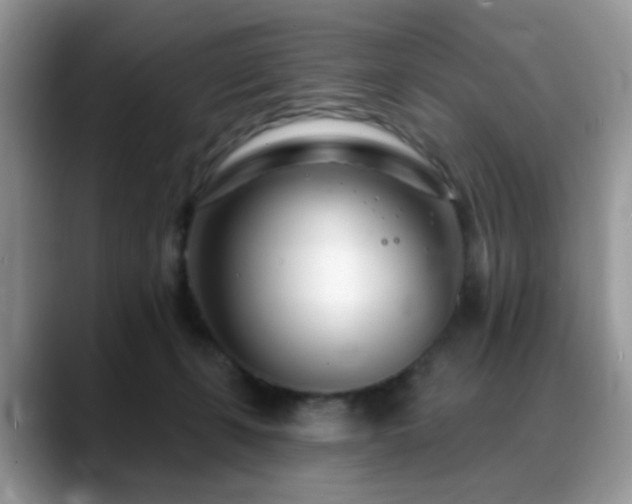 X0000088900271200706081311