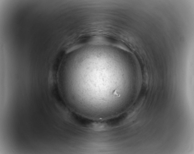 X0000088900272200706081311