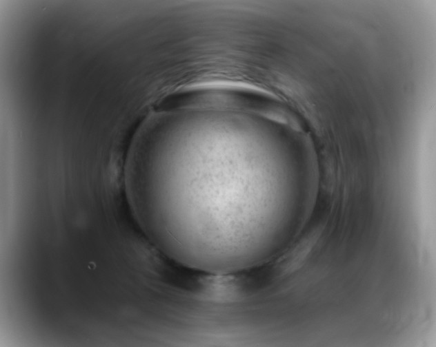X0000088900273200706081311
