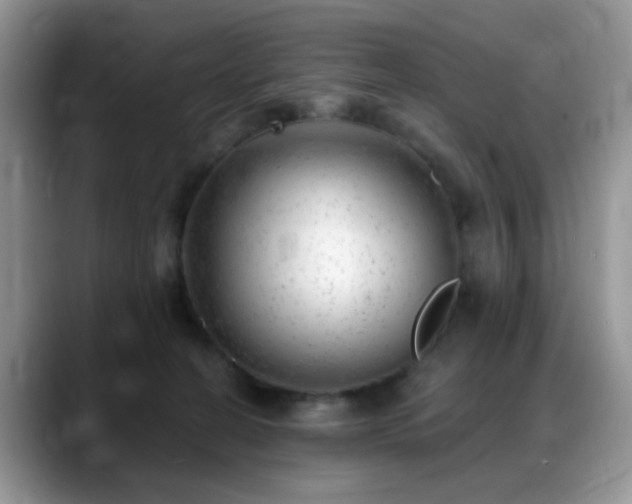 X0000088900274200706081311